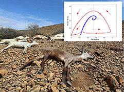 Phase diagram imposed over animals dead due to drought.
