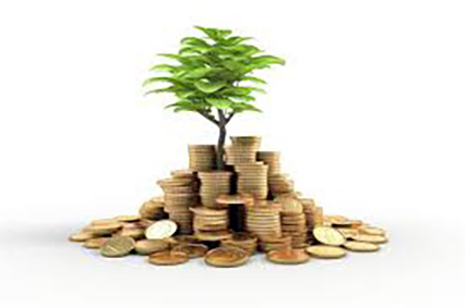 Coins surrounding a tree sapling.